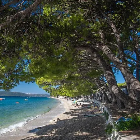 Feriepark Kamp Dole - Navores *