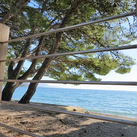 Kamp Dole - Navores *