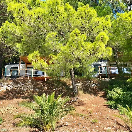 Kamp Dole - Navores *