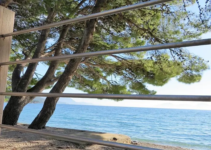 Kamp Dole - Navores *