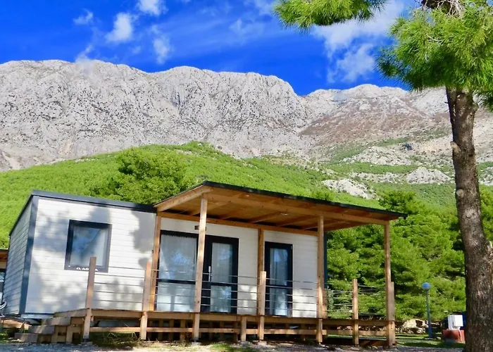 Kamp Dole - Navores * Живогошче