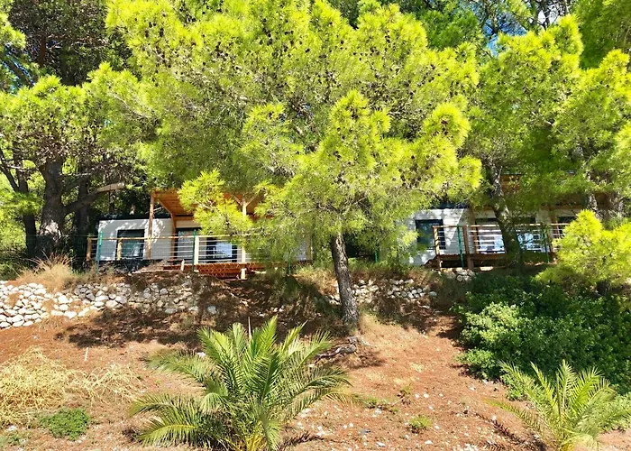 Kamp Dole - Navores *